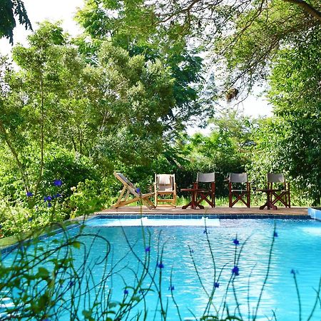 Tanzanice Farm Lodge Karatu Kültér fotó