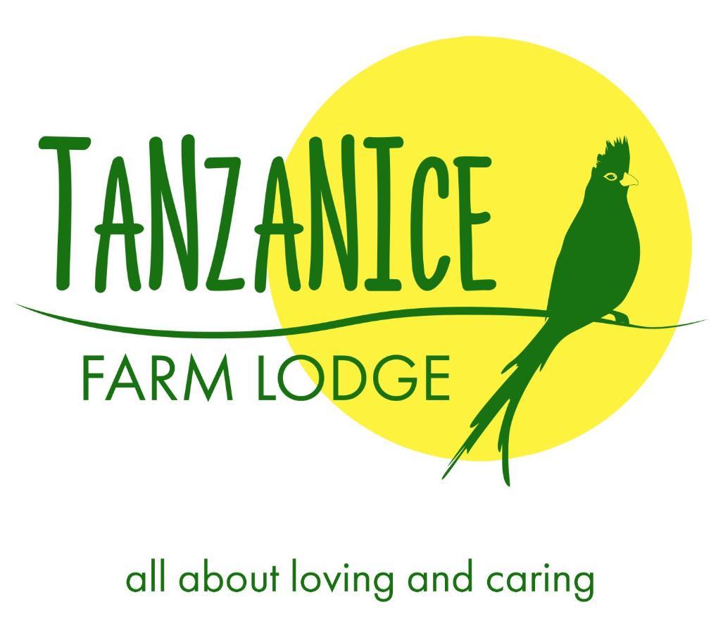 Tanzanice Farm Lodge Karatu Kültér fotó