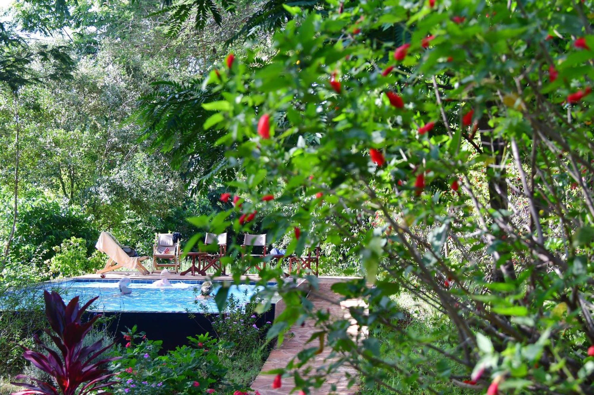 Tanzanice Farm Lodge Karatu Kültér fotó