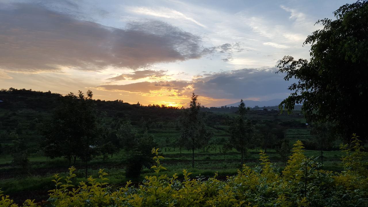 Tanzanice Farm Lodge Karatu Kültér fotó